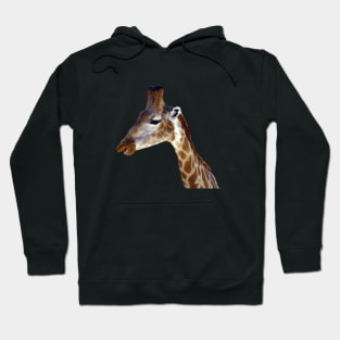 Giraffe Portrait Close up 1 Hoodie